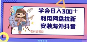 学会日入300＋，利用网盘拉新安装海外抖音保姆级教学【揭秘】-风淘社