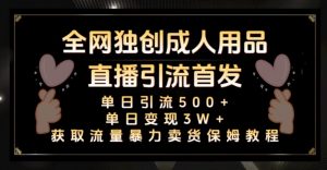 全网独创真人主播+无人直播单日引流500+，橙人用品暴力卖货单日变现3W+保姆似教学2.0【揭秘】-风淘社