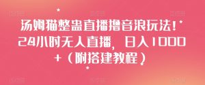 汤姆猫整蛊直播撸音浪玩法！24小时无人直播，日入1000+（附搭建教程）【揭秘】-风淘社
