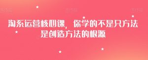 淘系运营核心课,你学的不是只方法是创造方法的根源-风淘社