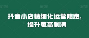 抖音小店精细化运营陪跑,提升更高利润-风淘社