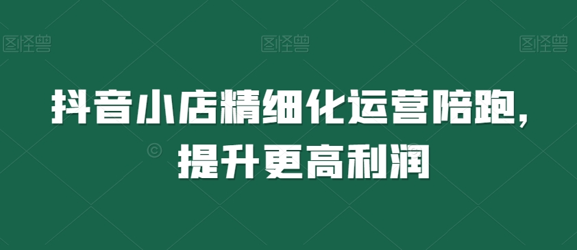 抖音小店精细化运营陪跑,提升更高利润-风淘社