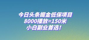 今日头条掘金低保项目,8000播放=150米,小白副业首选【揭秘】-风淘社
