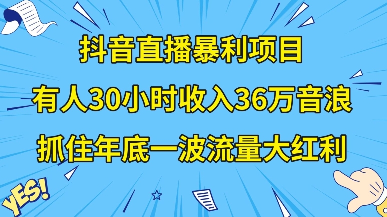 抖音直播暴利项目,有人30小时收入36万音浪,公司宣传片年会视频制作,抓住年底一波流量大红利【揭秘】-风淘社