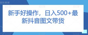 新手好操作，日入500+最新抖音图文带货【揭秘】-风淘社