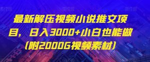 最新解压视频小说推文项目,日入3000+小白也能做(附2000G视频素材)【揭秘】-风淘社