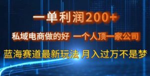 一单利润200私域电商做的好，一个人顶一家公司蓝海赛道最新玩法【揭秘】-风淘社