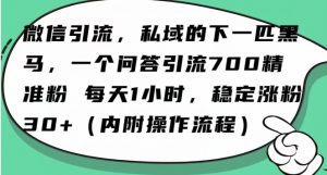 怎么搞精准创业粉?微信新赛道,每天一小时,利用Ai一个问答日引100精准粉-风淘社