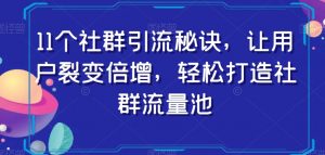11个社群引流秘诀,让用户裂变倍增,轻松打造社群流量池-风淘社