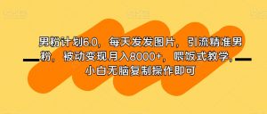 男粉计划6.0,每天发发图片,引流精准男粉,被动变现月入8000+,喂饭式教学,小白无脑复制操作即可-风淘社