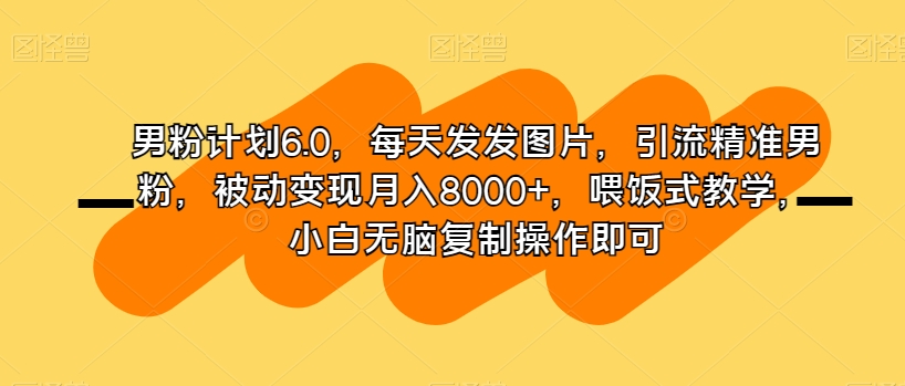 男粉计划6.0,每天发发图片,引流精准男粉,被动变现月入8000+,喂饭式教学,小白无脑复制操作即可-风淘社