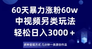60天暴力涨粉60W，中视频另类玩法，日入3000＋，几分钟一条原创作品多种变现方式-风淘社