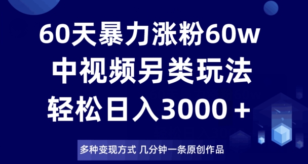 60天暴力涨粉60W,中视频另类玩法,日入3000+,几分钟一条原创作品多种变现方式-风淘社