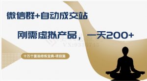 十万个富翁修炼宝典之8.微信群+自动成交站,刚需虚拟产品,一天200+-风淘社