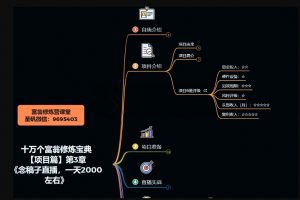 十万个富翁修炼宝典之3.念稿子直播,一天2000左右-风淘社
