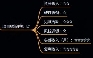 十万个富翁修炼宝典之4.一个大学生操作这个项目,一个月能搞一万-风淘社