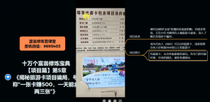 十万个富翁修炼宝典之5.揭秘旅游卡项目骗局,号称“一张卡赚500,一天能卖两三张”-风淘社