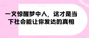一文惊醒梦中人，这才是当下社会能让你发达的真相【公众号付费文章】-风淘社
