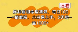暴利看相命理测算，每日100+精准粉，小白易上手，3天收益1000+【揭秘】-风淘社