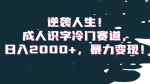 逆袭人生!成人识字冷门赛道,日入2000+,暴力变现!【揭秘】-风淘社