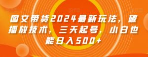 图文带货2024最新玩法，破播放技术，三天起号，小白也能日入500+【揭秘】-风淘社