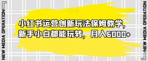 小红书运营创新玩法保姆教学,新手小白都能玩转,月入6000+【揭秘】-风淘社