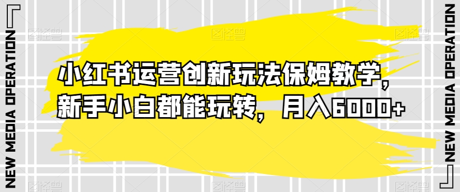 小红书运营创新玩法保姆教学,新手小白都能玩转,月入6000+【揭秘】-风淘社