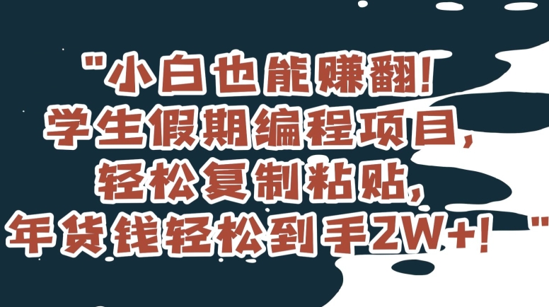 小白也能赚翻!学生假期编程项目,轻松复制粘贴,年货钱轻松到手2W+【揭秘】-风淘社