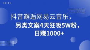 抖音邂逅网易云音乐,另类文案4天狂吸5W粉,日赚1000+【揭秘】-风淘社