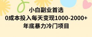 小白副业首选，0成本投入，每天变现1000-2000年底暴力冷门项目【揭秘】-风淘社