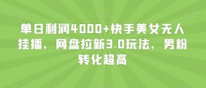 单日利润4000+快手美女无人挂播,网盘拉新3.0玩法,男粉转化超高【揭秘】-风淘社