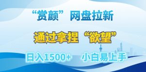 “赏颜”网盘拉新赛道,通过拿捏“欲望”日入1500+,小白易上手【揭秘】-风淘社
