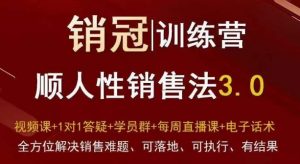 爆款!销冠训练营3.0之顺人性销售法,全方位解决销售难题、可落地、可执行、有结果-风淘社