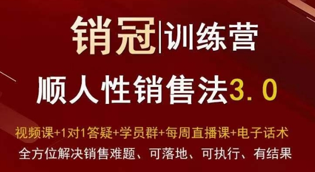 爆款!销冠训练营3.0之顺人性销售法,全方位解决销售难题、可落地、可执行、有结果-风淘社