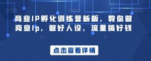 商业IP孵化训练营新版,教你做商业Ip,做好人设,流量搞好钱-风淘社