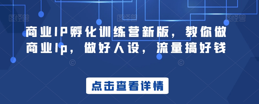 商业IP孵化训练营新版,教你做商业Ip,做好人设,流量搞好钱-风淘社
