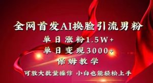 全网首发Ai换脸引流男粉,单日涨粉1.5w+,单日变现3000+,小白也能轻松上手拿结果【揭秘】-风淘社