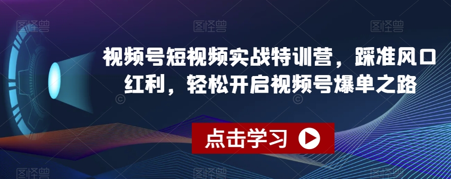 视频号短视频实战特训营,踩准风口红利,轻松开启视频号爆单之路-风淘社