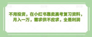 不用投资,在小红书靠卖高考复习资料,月入一万,需求供不应求,全是利润【揭秘】-风淘社