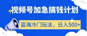 视频号加急搞钱计划,蓝海冷门玩法,日入500+【揭秘】-风淘社