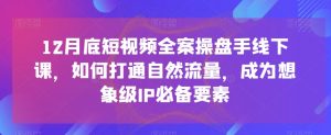 12月底短视频全案操盘手线下课,如何打通自然流量,成为想象级IP必备要素-风淘社
