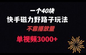 一个40块，快手联合美团磁力新玩法，无视机制野路子玩法，单视频收益4位数【揭秘】-风淘社