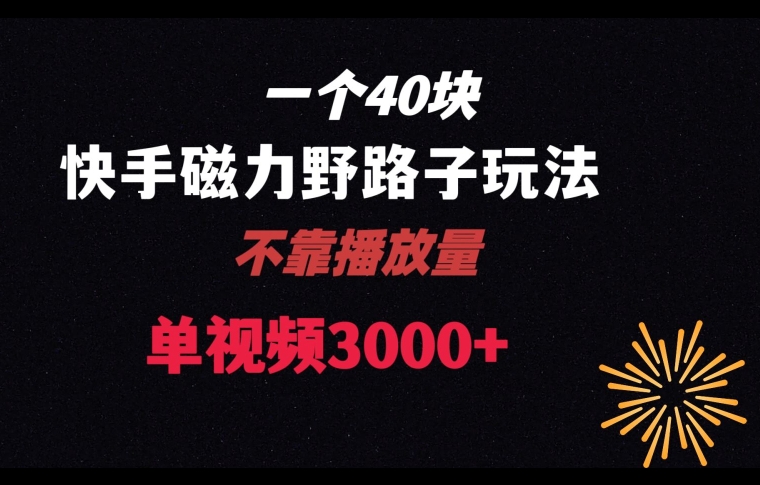 一个40块,快手联合美团磁力新玩法,无视机制野路子玩法,单视频收益4位数【揭秘】-风淘社