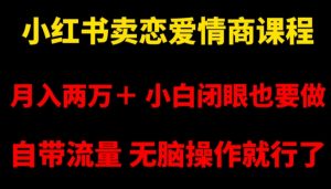 小红书卖恋爱情商课程,月入两万+,小白闭眼也要做,自带流量,无脑操作就行了【揭秘】-风淘社