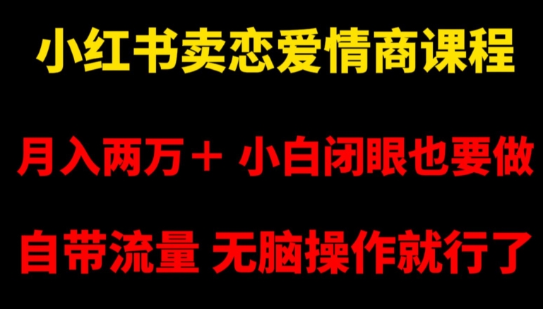 小红书卖恋爱情商课程,月入两万+,小白闭眼也要做,自带流量,无脑操作就行了【揭秘】-风淘社