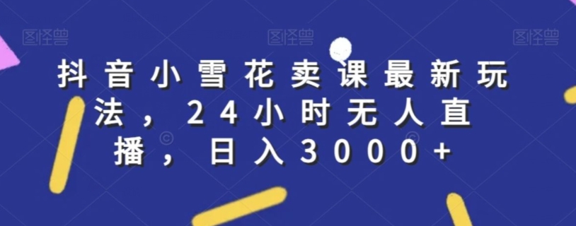抖音小雪花卖课最新玩法，24小时无人直播，日入3000+【揭秘】-风淘社