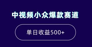 中视频小众爆款赛道，7天涨粉5万+，小白也能无脑操作，轻松月入上万【揭秘】-风淘社