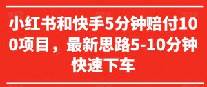 小红书和快手5分钟赔付100项目，最新思路5-10分钟快速下车【仅揭秘】-风淘社