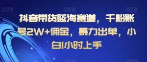 抖音带货蓝海赛道，千粉账号2W+佣金，暴力出单，小白1小时上手【揭秘】-风淘社