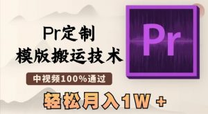 最新Pr定制模版搬运技术,中视频100%通过,几分钟一条视频,轻松月入1W+【揭秘】-风淘社